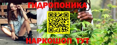 стаф Краснокаменск