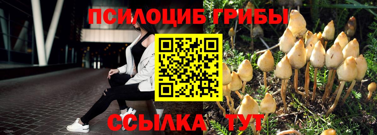 Южно-Сахалинск  Галлюциногенные грибы Magic Shrooms  наркотики  Вход с VPN 